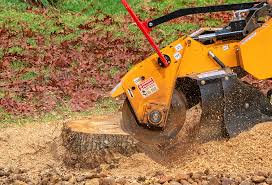 Best Leaf Removal Services  in USA